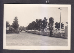 POSTCARD. MOLDOVA. TIRASPOL. EMBANKMENT. 1961. - 9-34-i - Moldavie