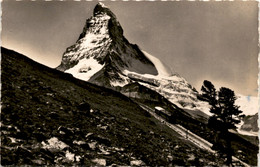 Delcampe - Zermatt - Gornergrat-Bahn Auf Riffelalp, Matterhorn (7445) * 25. 6. 1959 - Zermatt