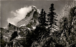 Delcampe - Zermatt - Das Matterhorn (6743) * 25. 6. 1958 - Zermatt
