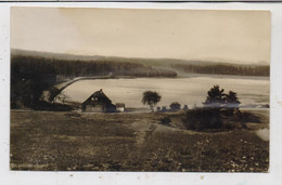 0-9412 SCHNEEBERG, Der Filzteich, 1931 - Schneeberg