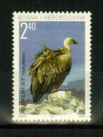 BOSNIA (Mostar) 1998 FAUNA Animals. Birds VULTURE - Fine Stamp MNH - Bosnia And Herzegovina