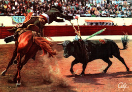 Une Paire De Banderilles De PERALTA  (Cheval Taureau Picador ) (recto-verso)  CORRIDA ,Toros, Taureaux Toréador - Corridas