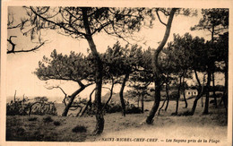 N°31288 Z -cpa Saint Michel Chef Chef -les Sapins Près De La Plage- - Saint-Michel-Chef-Chef