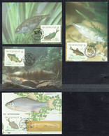 COB N° 2383/86 Sur 4 CM - Nature, Poissons: Perche, Vairon, Bouvière, épinoche - Oblitérations Diverses Du 08.09.90. - 1981-1990