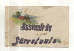 Souvenir De Saarlouis (carte à Paillettes) - Kreis Saarlouis