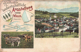 Kantonale Landwirtschaftliche Ausstellung Wald Zürich - Litho 1900 - Wald