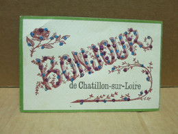 CHATILLON SUR LOIRE (45) Carte Fantaisie Bonjour Paillettes - Chatillon Sur Loire