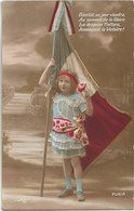 22-7-1887 Guerre 1914 1918 Bientot Un Jour Viendra Au Sommet De La Gloire Le Drapeau Flottera - Patriottiche