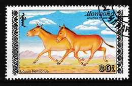 1988 Mongolei, Mi: 1997° / Y&T: 611° Asiatischer Esel / Equus Hemionus - Anes