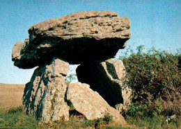 SAINT AFRIQUE   Le Dolmen De Tiergues      (recto-verso) 12 Aveyron - Saint Affrique