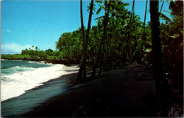 Hawaii Kalapana Black Sands Beach - Big Island Of Hawaii