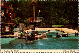 Florida Orlando Sea World Dolphin Show 1978 - Orlando