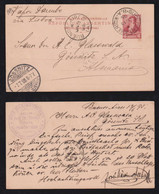 Argentina 1895 Stationery Postcard 6c CENT.AMERICA Buenos Aires X GÖSSNITZ Germany - Briefe U. Dokumente