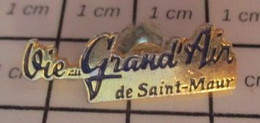 3119 Pin's Pins / Beau Et Rare / THEME : SPORTS / BASKET-BALL CLUB Vie Au Grand'air De Saint-maur - Basketball