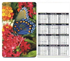 Papillon Buttelfly Peinture Calendrier France 1998 Calendar - Autres & Non Classés