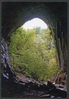 ESPAÑA SPAIN (2022) - Tarjeta Tu Sello Prefranqueada Museo De Las Brujas, Cueva Zugarramurdi, Witch, Sorcière, Hexe - 1931-....