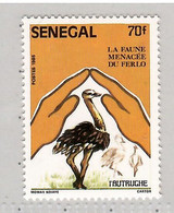 Senegal 1987 , Bird, Birds, Ostrich, 1v, MNH**, Split From Set Of 4v - Struzzi