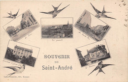 42-SAINT-ANDRE- MULTIVUES SOUVENIR - Autres & Non Classés