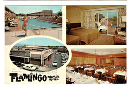 Flamingo Motor Hotel Tucson Arizona - Tucson