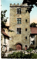 HERICOURT TOUR DU CHATEAU - Héricourt