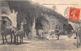 72-CHATEAU-DU-LOIR- FERME DANS LE ROC " LA DURETERIE " - Chateau Du Loir