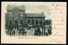 CPA - Carte Postale - Belgique - Thourout - Marché Aux Chevaux - 1900 (CP20867OK) - Torhout