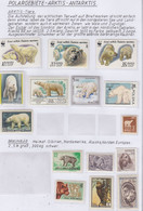 Arctica Polar Bear & Brown Bear (see Scan) ** Mnh (1 Value * Mh) (AA168) - Arctic Tierwelt