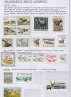 Arctica Artic Animals  (see Scan) ** Mnh (1v Russia Used) (AA169) - Arctic Wildlife