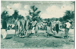Mauritanie - Tirailleurs Sénégalais Méharistes - Abreuvoir Des Chameaux Sur Un Cuir De Boeuf - Circulé 1916 - Mauritanie