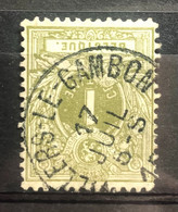 België, 1884, Nr 42, Gestempeld VILLERS-LE-GAMBON - 1884-1891 Leopold II