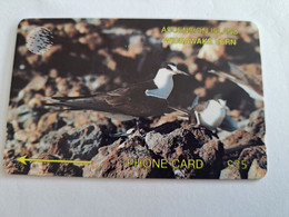 ASCENSION ISLAND   25 Pound   ASC-M3D /WIDE AWAKE TERN  3CASD  MINT   New Logo C&W **10461** - Ascension (Insel)