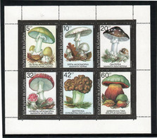Bulgaria 1990 . Mushrooms . M/S Of 6 - Unused Stamps