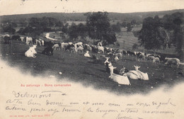 (227)  CPA  Au Paturage  Bons Camardes  Edit. Burgy  Saint Imier  1902 - Saint-Imier 