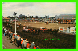 CALGARY, ALBERTA - THE CHUCKWAGON RACES AT THE CALGARY STAMPEDE - TRAVEL IN 1960 -  TRAVELTIME - - Calgary