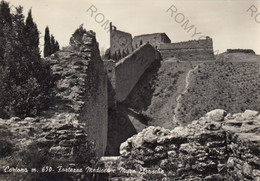 CARTOLINA  CORTONA M.650,AREZZO,TOSCANA,FORTEZZA MEDICEA E MURA ETRUSCHE,STORIA,MEMORIA,BELLA ITALIA,VIAGGIATA 1965 - Arezzo