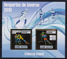 Olympische Spelen  2010 , Guinea Bissau  - Blok ( Zegels Zilver )  Postfris - Winter 2010: Vancouver