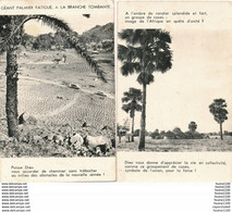 Lot De 2 Cartes Du TOGO  Paysage Togolais  ( Photo Tirage Magenta ) Rondier Palmier ( Cartes Religieux )( Recto Verso ) - Togo