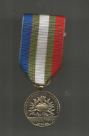 Médaille , Union Nationale Des Combattants ,unis Comme Au Front , à Bien Mérité De L'UNC , 2 Scans, Frais Fr 2.25 E - Frankreich