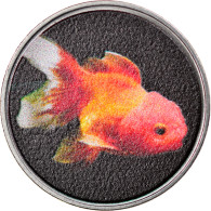 Monnaie, Macau, 2 Patacas, 2020, Taipa  - Poisson Oranda Type 3, SPL, Steel - Macau