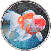 Monnaie, Macau, 2 Patacas, 2020, Taipa  - Poisson Oranda Type 2, SPL, Steel - Macau