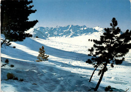 Massif Du Mt-Blanc Vu De Hte-Nendaz * 21. 2. 1985 - Nendaz