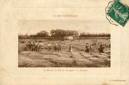 Gascogne , Gers * La Récolte Du Blé , La Moisson * Le Midi Pittoresque * éditeur à Laroque * Agricole Agriculture - Other & Unclassified