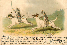 Chats Humanisés * CPA Illustrateur 1901 * Cavaliers Sur Chiens Avec épées * Chat Cat Cats Katze Humanisé Dogs - Cats