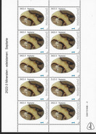 Nederland  2022-3 Mineralen Edelstenen Minerals Gemstons  Septarie  Vel-sheetlet   Postfris/mnh/neuf - Unused Stamps