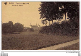 HANNUT - Château De BLEHEN - Kasteel - Hannut