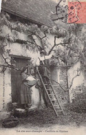 CPA - FERME - La Vie Aux Champs - Cueillette Des Glycines - Escabot - Femmes En Costume - Boerderijen