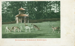 Driebergen; Hertenkamp Willinkshof - Niet Gelopen. (T. T. Hoekstra) - Driebergen – Rijsenburg