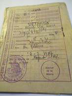 Carte Individuelle D'Alimentation/Titre 3021/Annick DEJARDINNogent Le Roi/ /1947-1949           OL133 - 1939-45