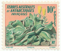 N° 11 NEUF XX - Unused Stamps