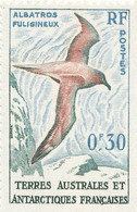 N° 12 NEUF XX - Unused Stamps